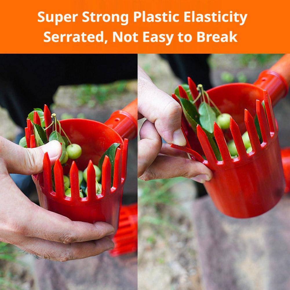 أداة قطف الفاكهة المحمولة مع س - مراجعة Gardening Tools Rack وسعره
