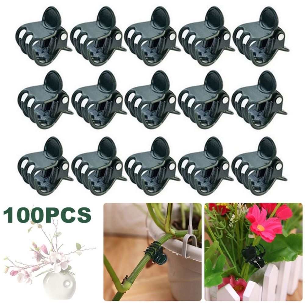 مشابك الأوركيد البلاستيكية لتط - مراجعة Gardening Tools For Vines وسعره