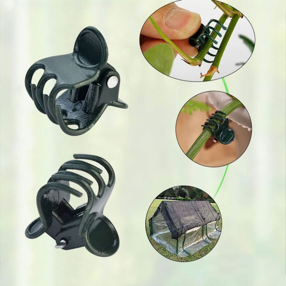 مشابك الأوركيد البلاستيكية لتط - مراجعة Gardening Tools For Vines وسعره