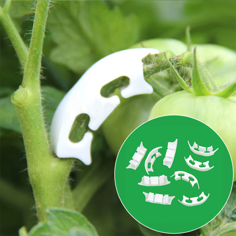 50/100 قطعة بوتاني الجذعية الك - مراجعة Gardening Tools For Vines وسعره