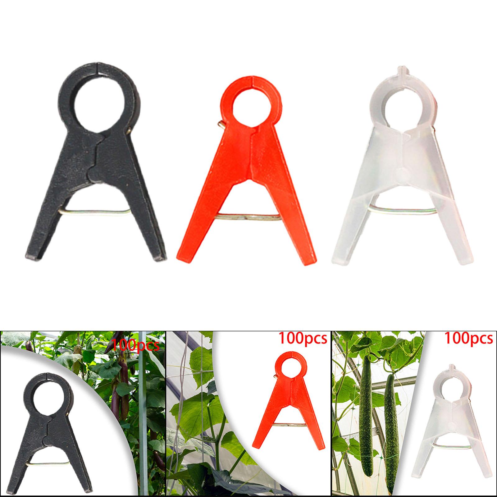 مشابك دعم نباتات الحدائق ونبات - مراجعة Gardening Tools For Vines وسعره