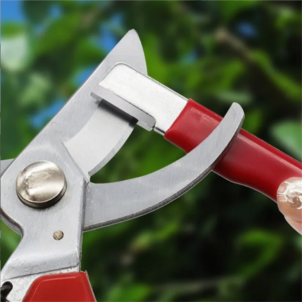 مبراة سكاكين محمولة متعددة الو - مراجعة Gardening Tools Scissors وسعره