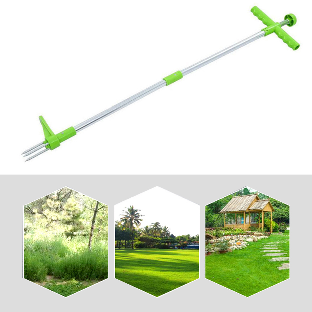 أداة سهلة الاستخدام لإزالة جذو - مراجعة Gardening Tools To Remove Grass وسعره