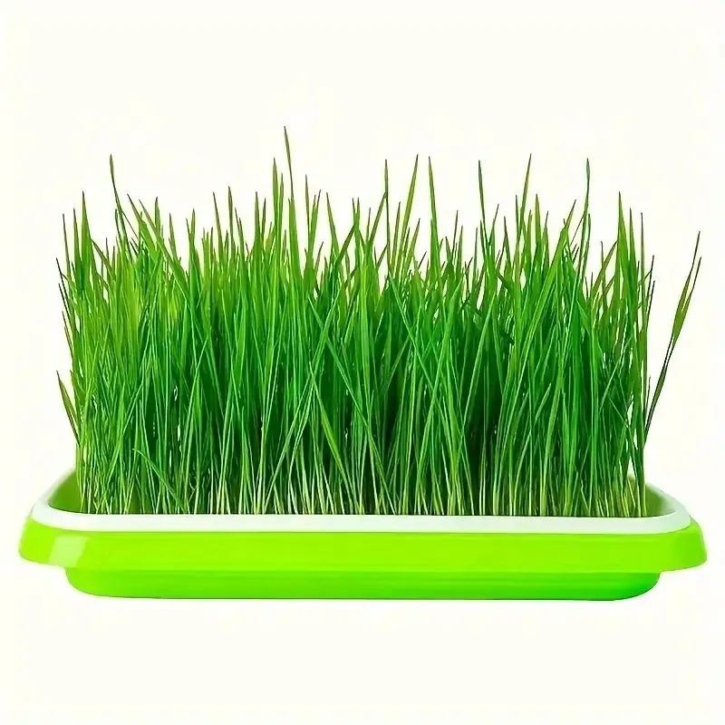 أحدث موديلات صواني البذور، صين - مراجعة Gardening Tools Vegetables وسعره