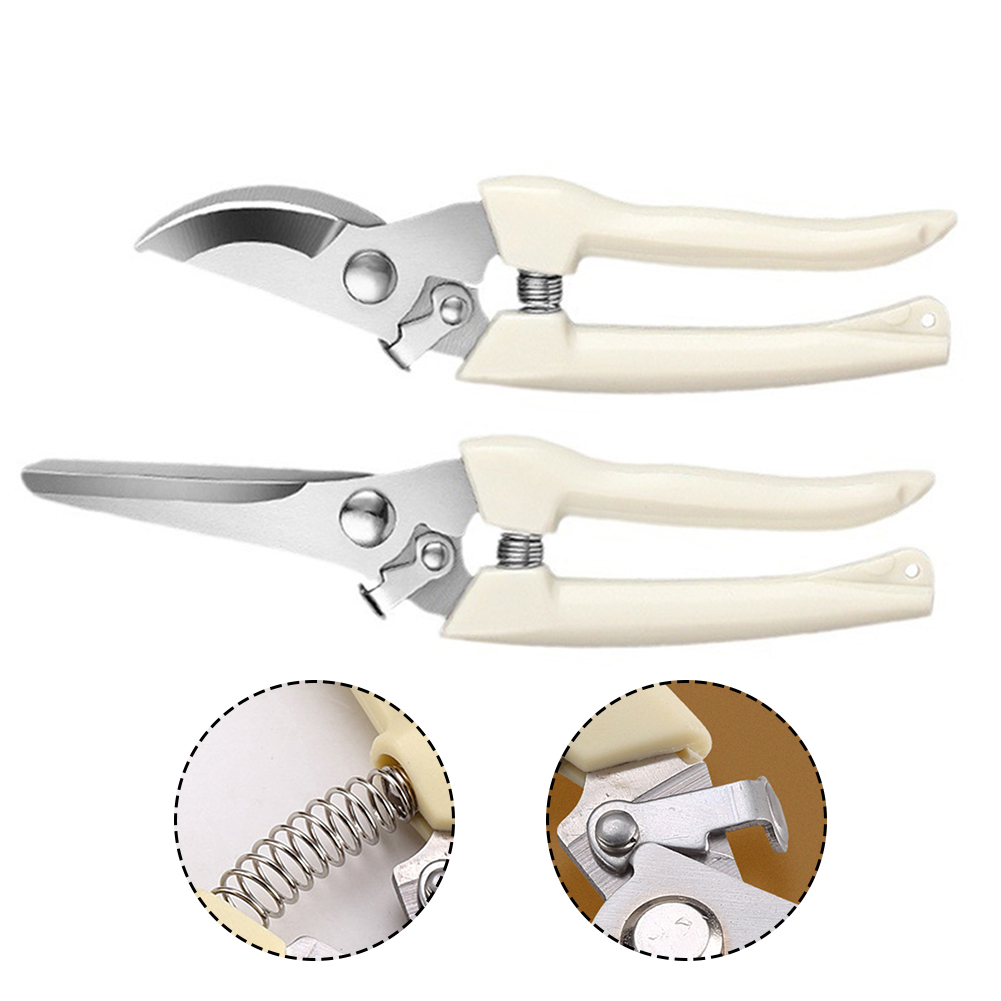 مقصات المقلم أدوات يدوية بونسا - مراجعة Bonsai Tool Set وسعره