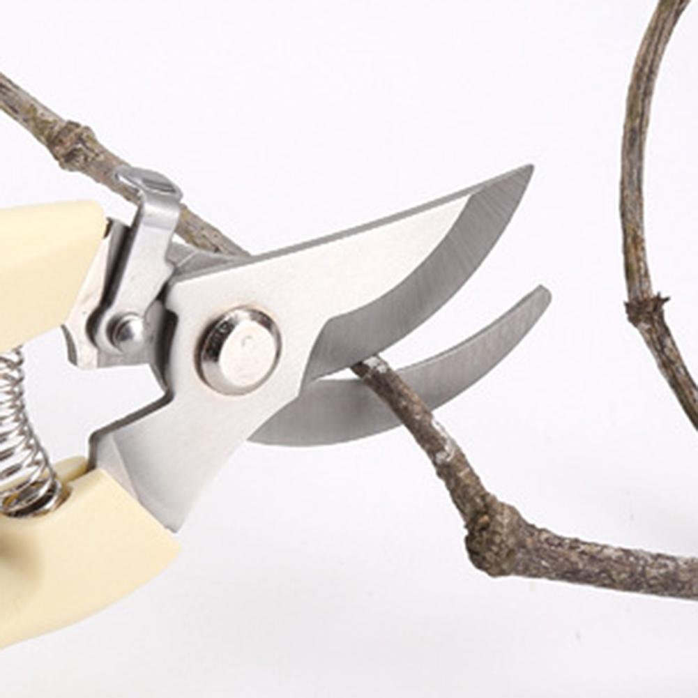 مقصات المقلم أدوات يدوية بونسا - مراجعة Bonsai Tool Set وسعره