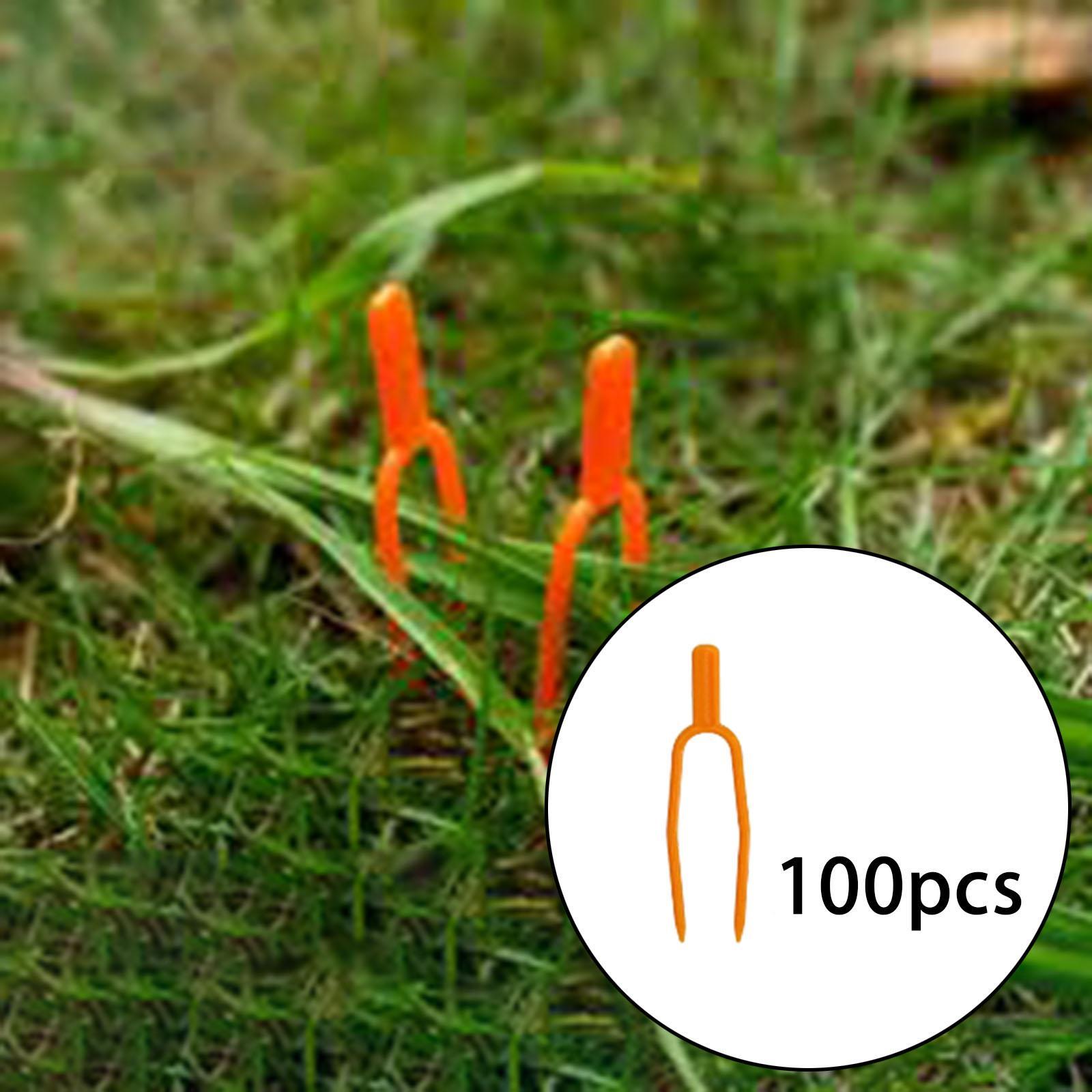 مشابك تثبيت سيقان النباتات، أد - مراجعة Gardening Tools For Vines وسعره