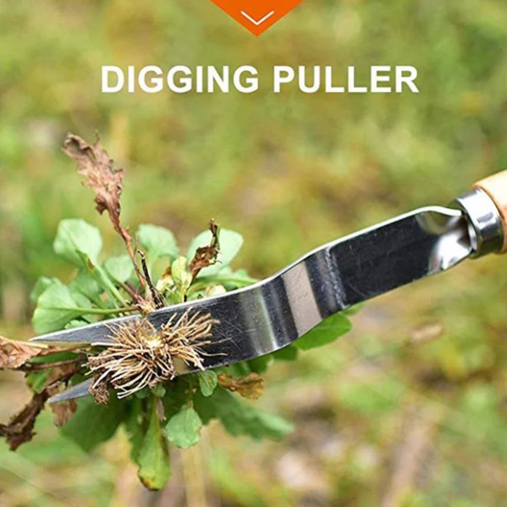 أعشاب حديقة من الفولاذ المقاوم - مراجعة Gardening Tools To Remove Weeds وسعره