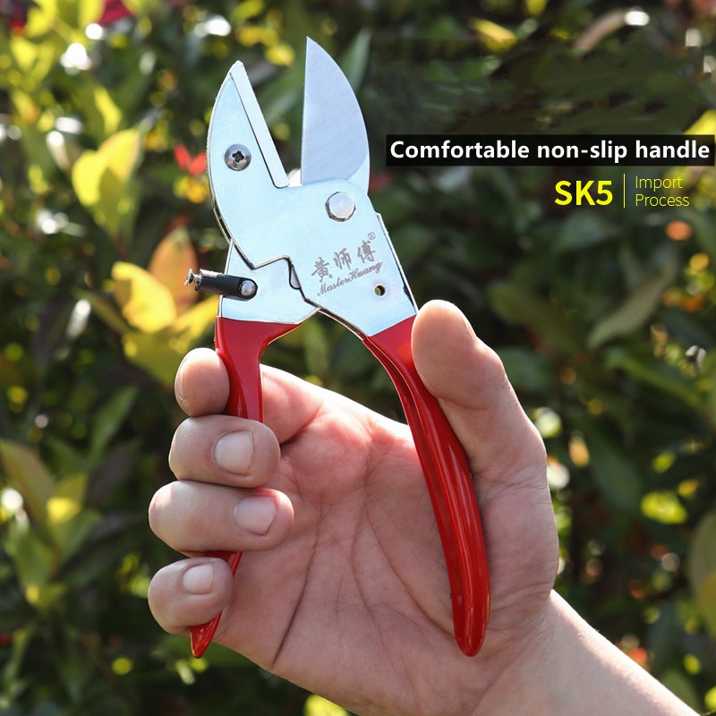 SK5 الصلب دليل حديقة تشذيب الم - مراجعة Bonsai Tool Set وسعره