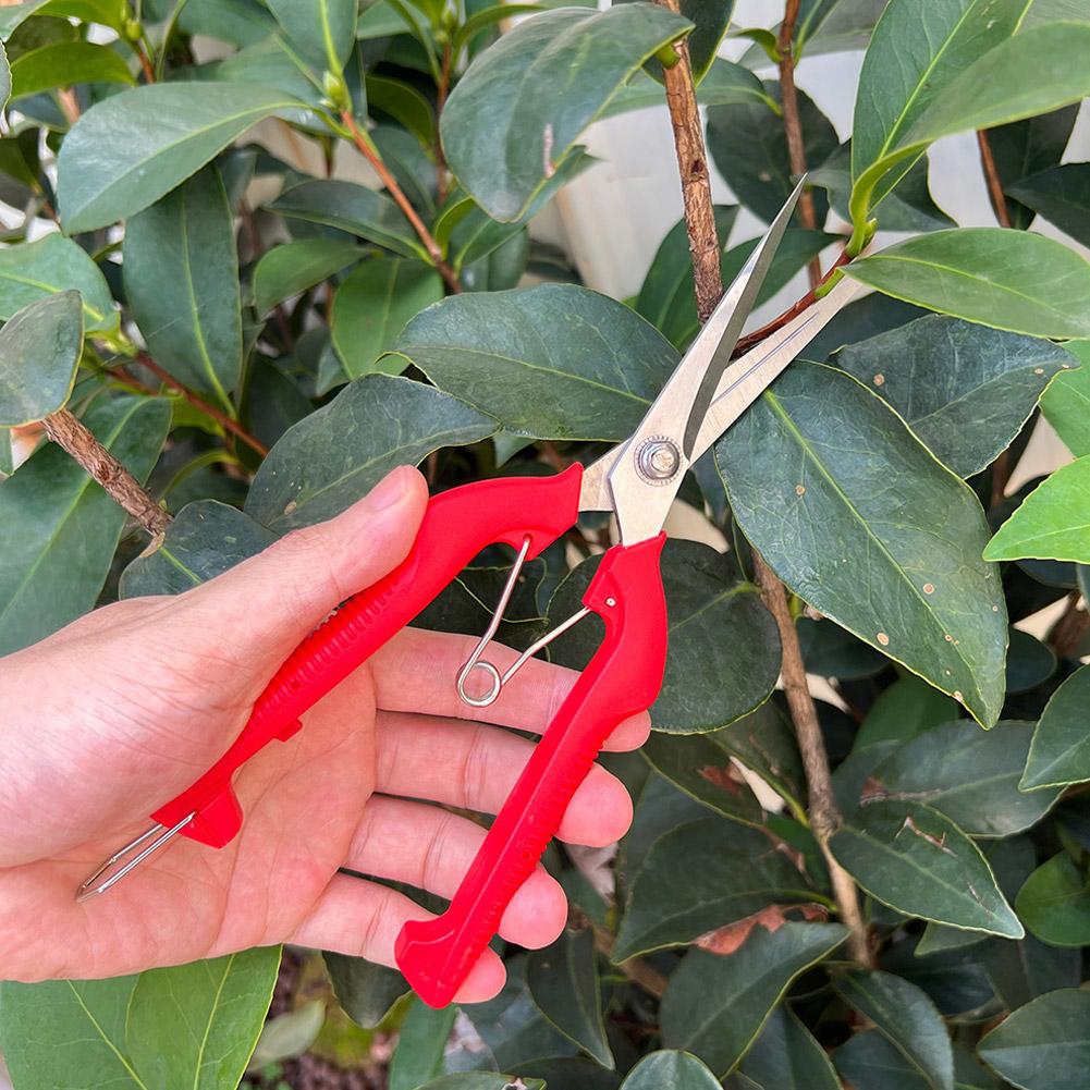 مقص تقليم احترافي للحدائق، مقص - مراجعة Gardening Tools Wholesale وسعره