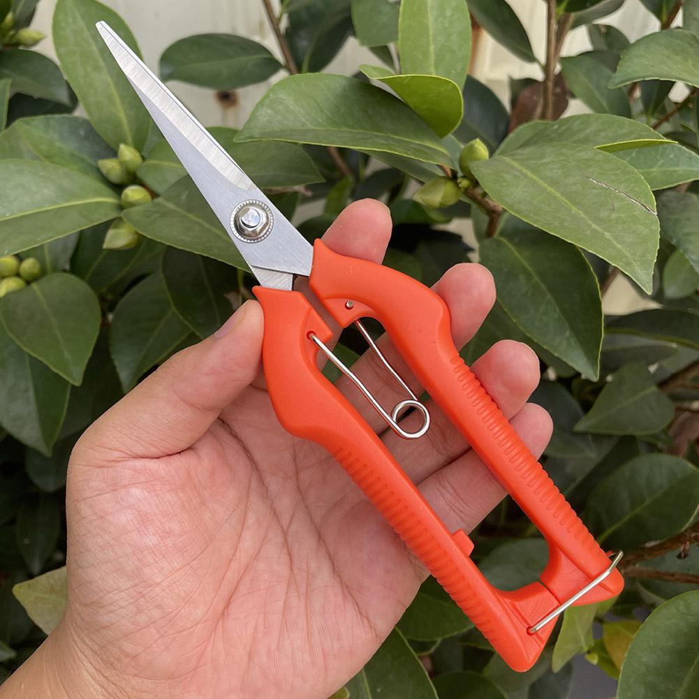 مقص تقليم احترافي للحدائق، مقص - مراجعة Gardening Tools Wholesale وسعره