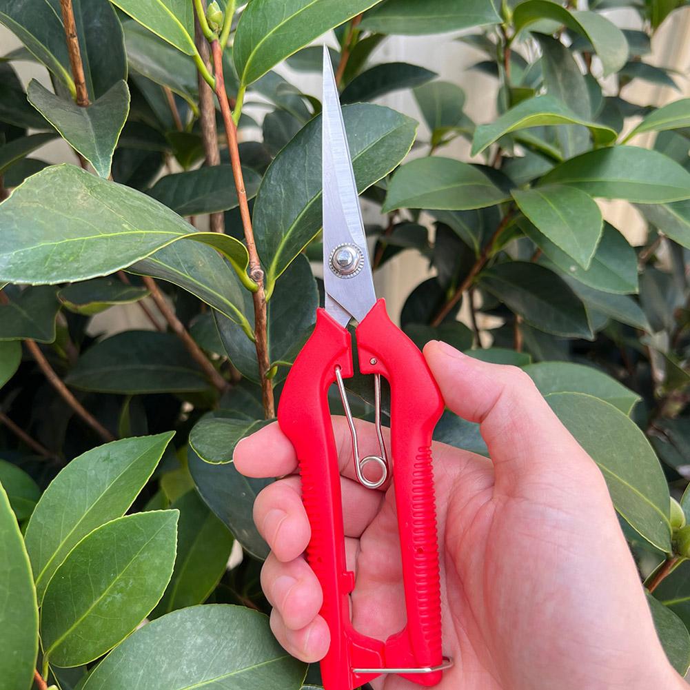مقص تقليم احترافي للحدائق، مقص - مراجعة Gardening Tools Wholesale وسعره