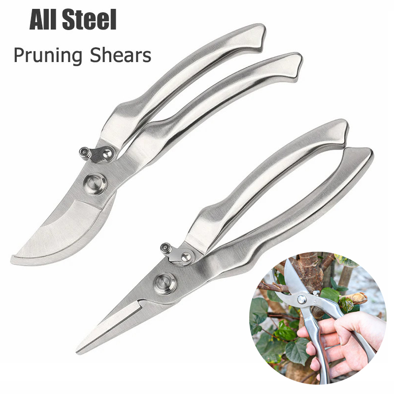 مقص تقليم احترافي مصنوع بالكام - مراجعة Bonsai Tool Set وسعره