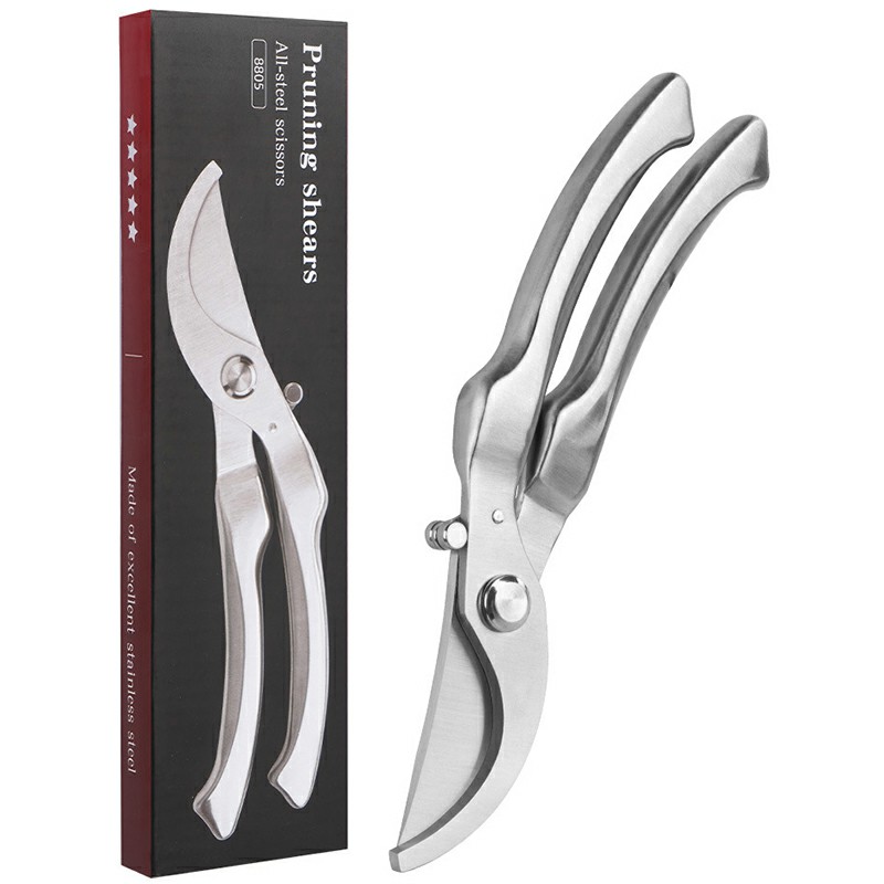 مقص تقليم احترافي مصنوع بالكام - مراجعة Bonsai Tool Set وسعره