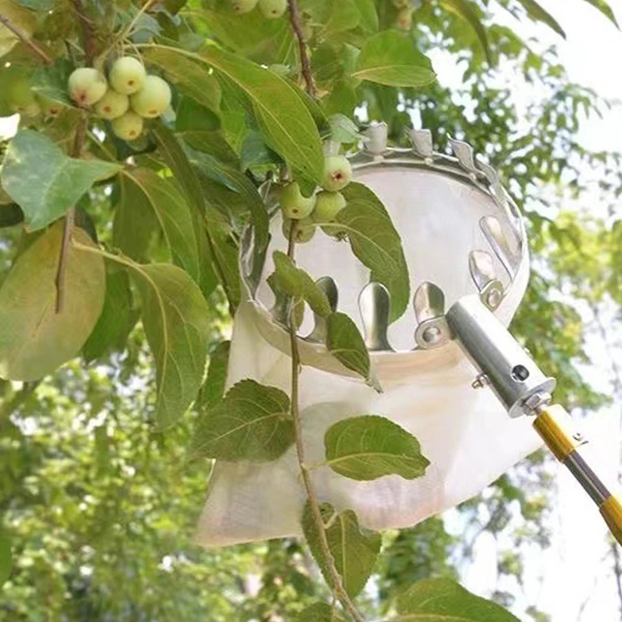 أداة احترافية لقطف التوت، سلة  - مراجعة Gardening Tools Rack وسعره