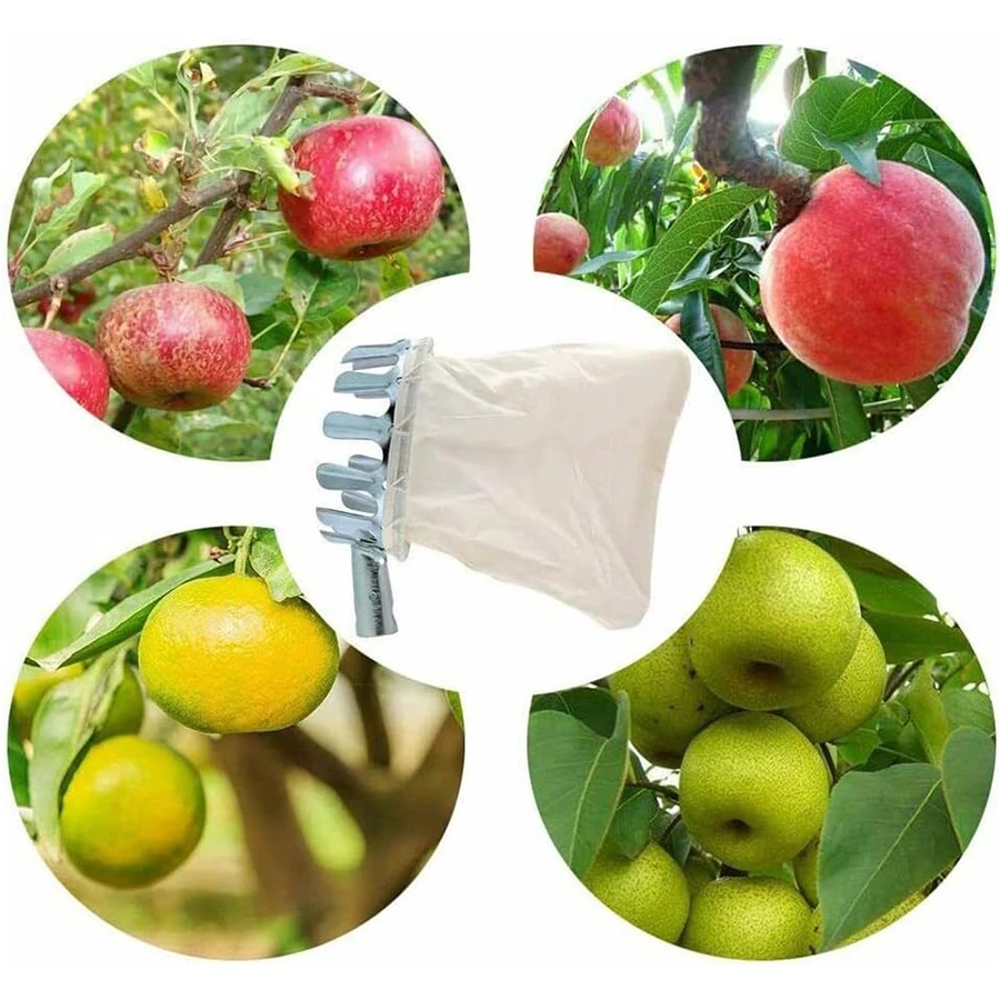 أداة احترافية لقطف التوت، سلة  - مراجعة Gardening Tools Rack وسعره