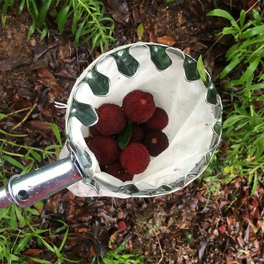 أداة احترافية لقطف التوت، سلة  - مراجعة Gardening Tools Rack وسعره