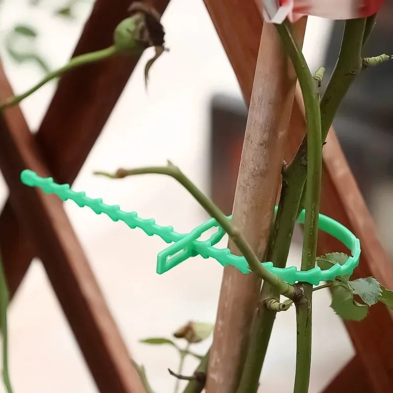 أربطة كابلات نايلون قابلة لإعا - مراجعة Gardening Tools For Vines وسعره