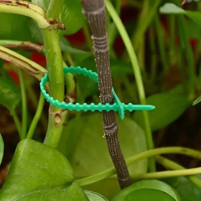 أربطة كابلات نايلون قابلة لإعا - مراجعة Gardening Tools For Vines وسعره