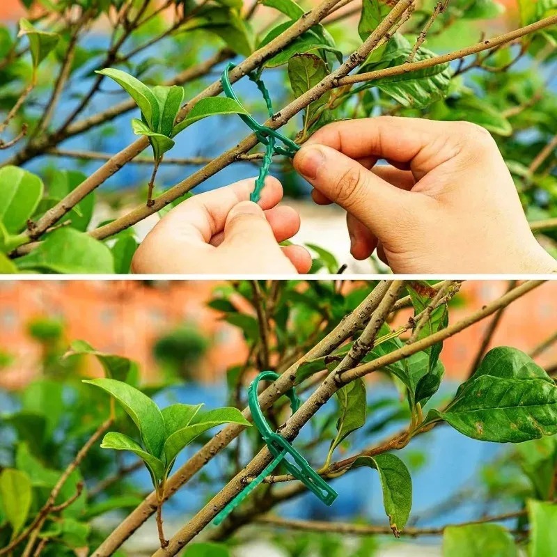 أربطة كابلات نايلون قابلة لإعا - مراجعة Gardening Tools For Vines وسعره