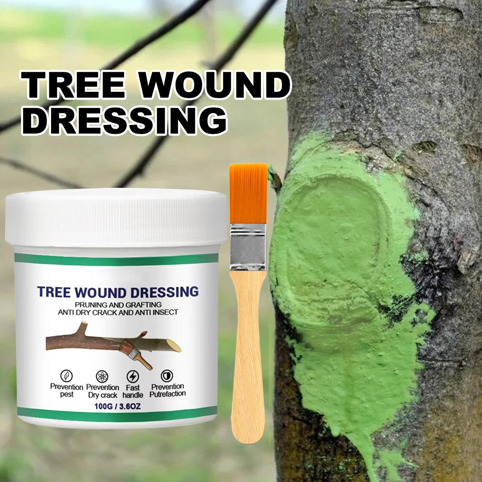 معجون تطعيم الأشجار، معجون تضم - مراجعة Gardening Tools Wholesale وسعره