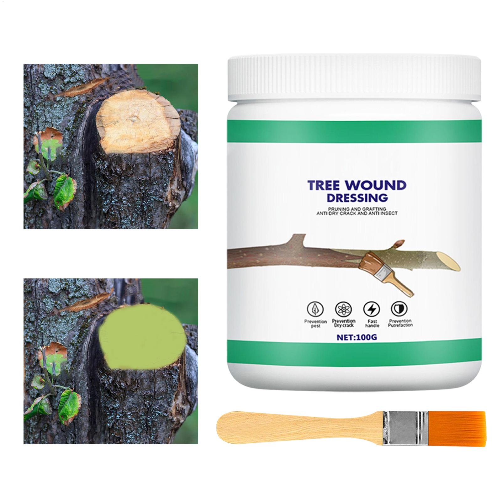 معجون تطعيم الأشجار، معجون تضم - مراجعة Gardening Tools Wholesale وسعره