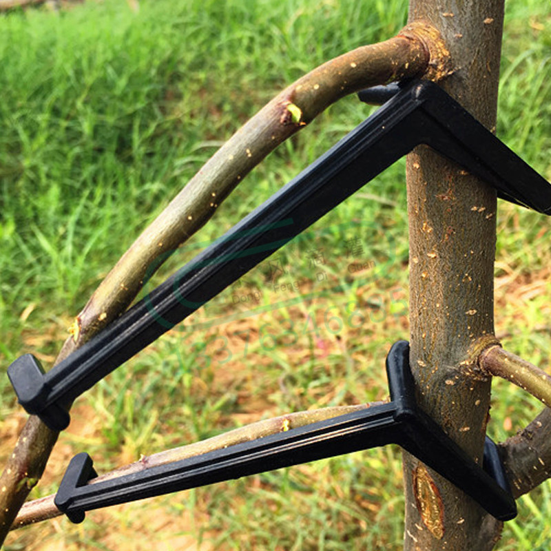 10-30 قطعة مقاطع شجرة الفاكهة  - مراجعة Gardening Tools For Vines وسعره