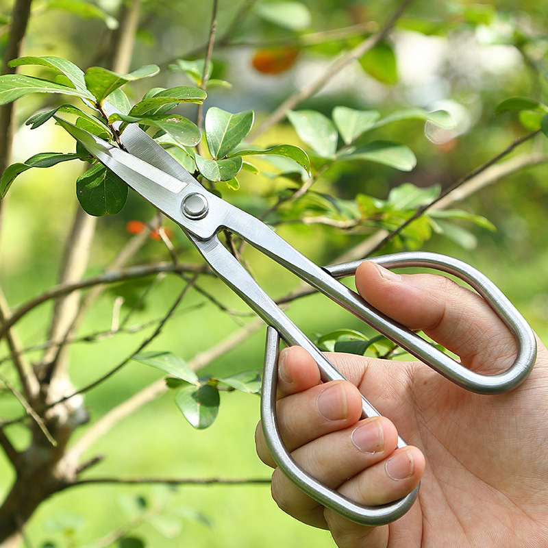 مقصات حدائق فولاذية بالكامل، أ - مراجعة Bonsai Tool Set وسعره