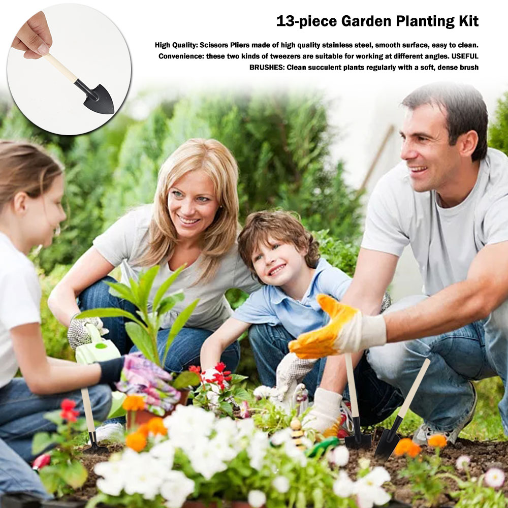 أدوات النباتات النضرة حديقة صغ - مراجعة Bonsai Tool Set وسعره