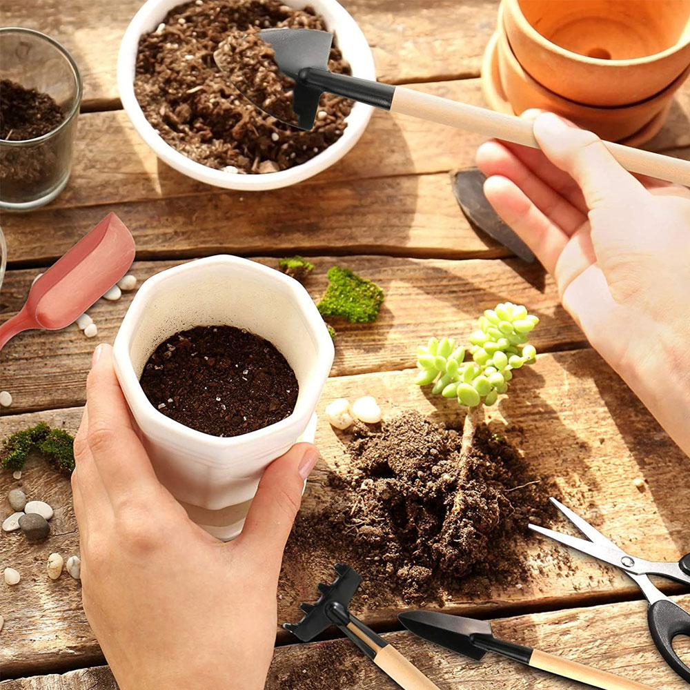 أدوات النباتات النضرة حديقة صغ - مراجعة Bonsai Tool Set وسعره