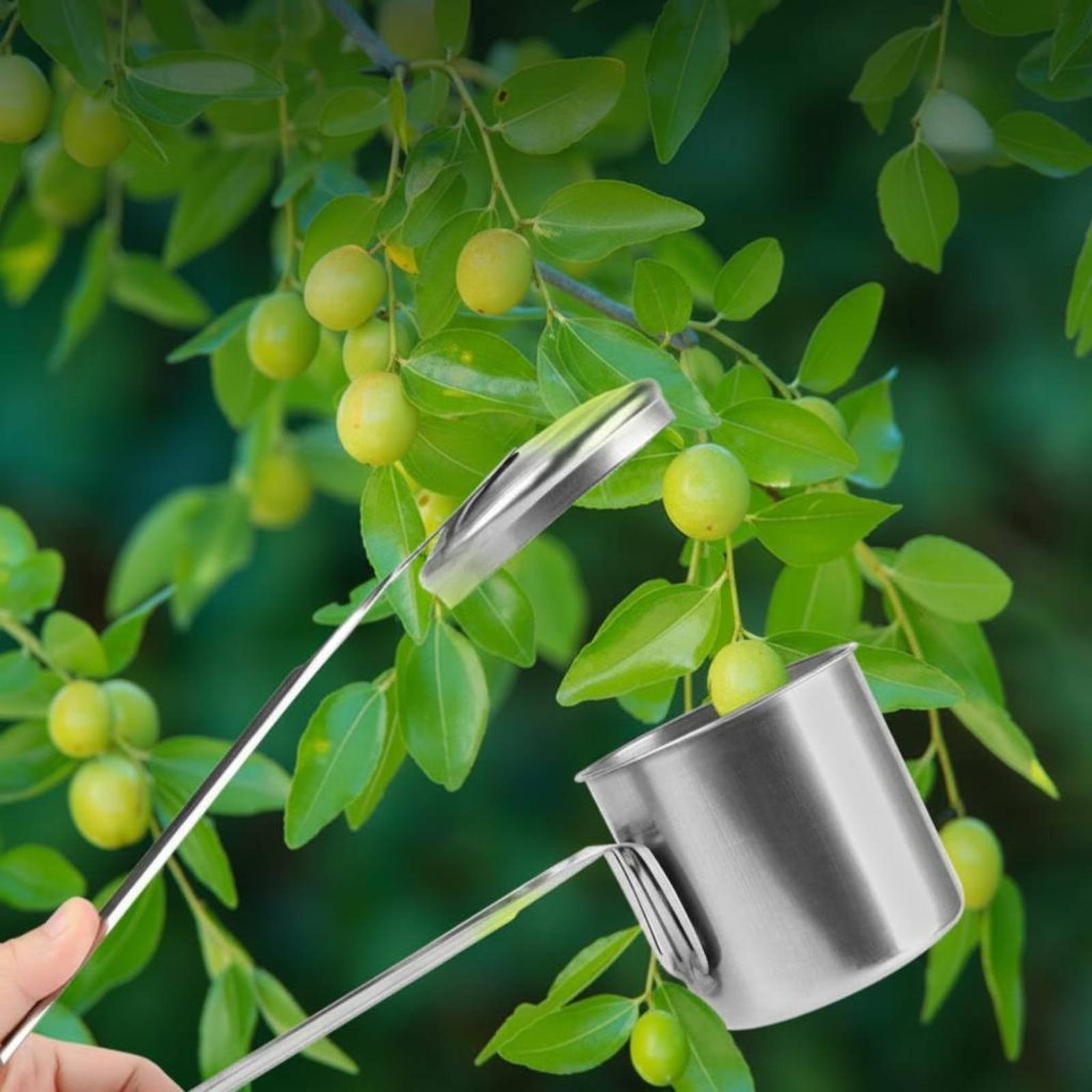 أداة التقاط الفاكهة من الفولاذ - مراجعة Gardening Tools Uses وسعره
