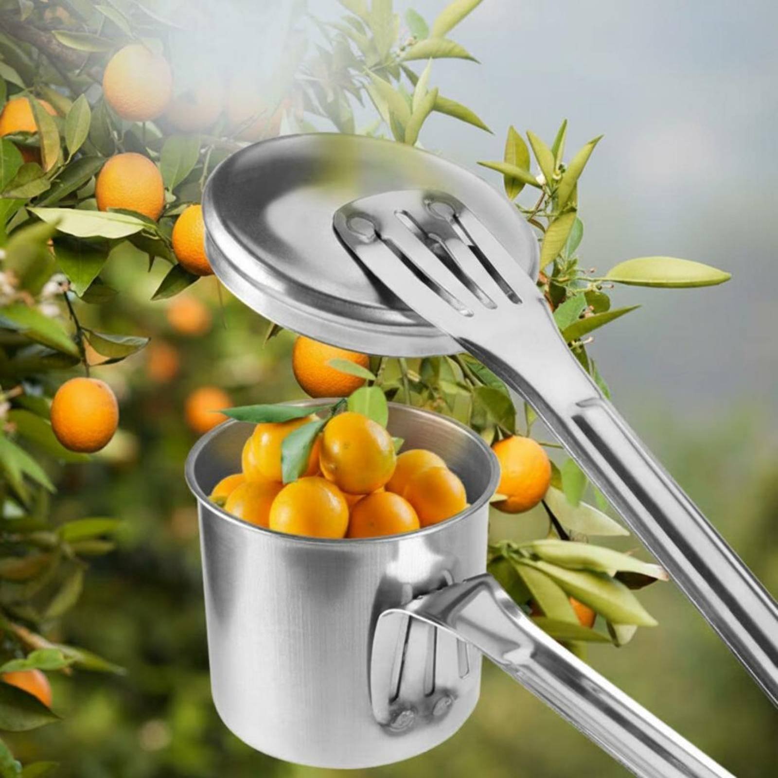 أداة التقاط الفاكهة من الفولاذ - مراجعة Gardening Tools Uses وسعره