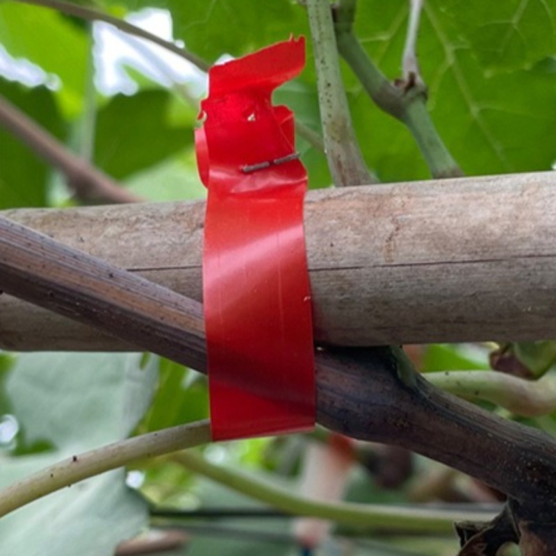 ماكينة تجليد فرع العنب الخاصة  - مراجعة Gardening Tools For Vines وسعره