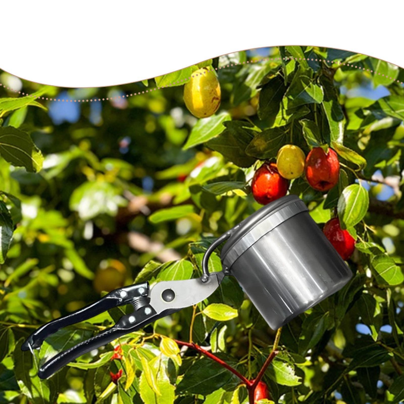 منتقي الفاكهة، أداة البستنة ال - مراجعة Gardening Tools Vegetables وسعره