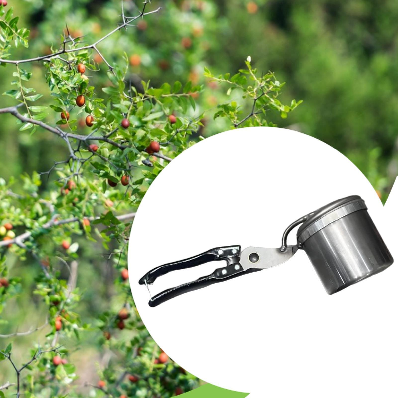 منتقي الفاكهة، أداة البستنة ال - مراجعة Gardening Tools Vegetables وسعره