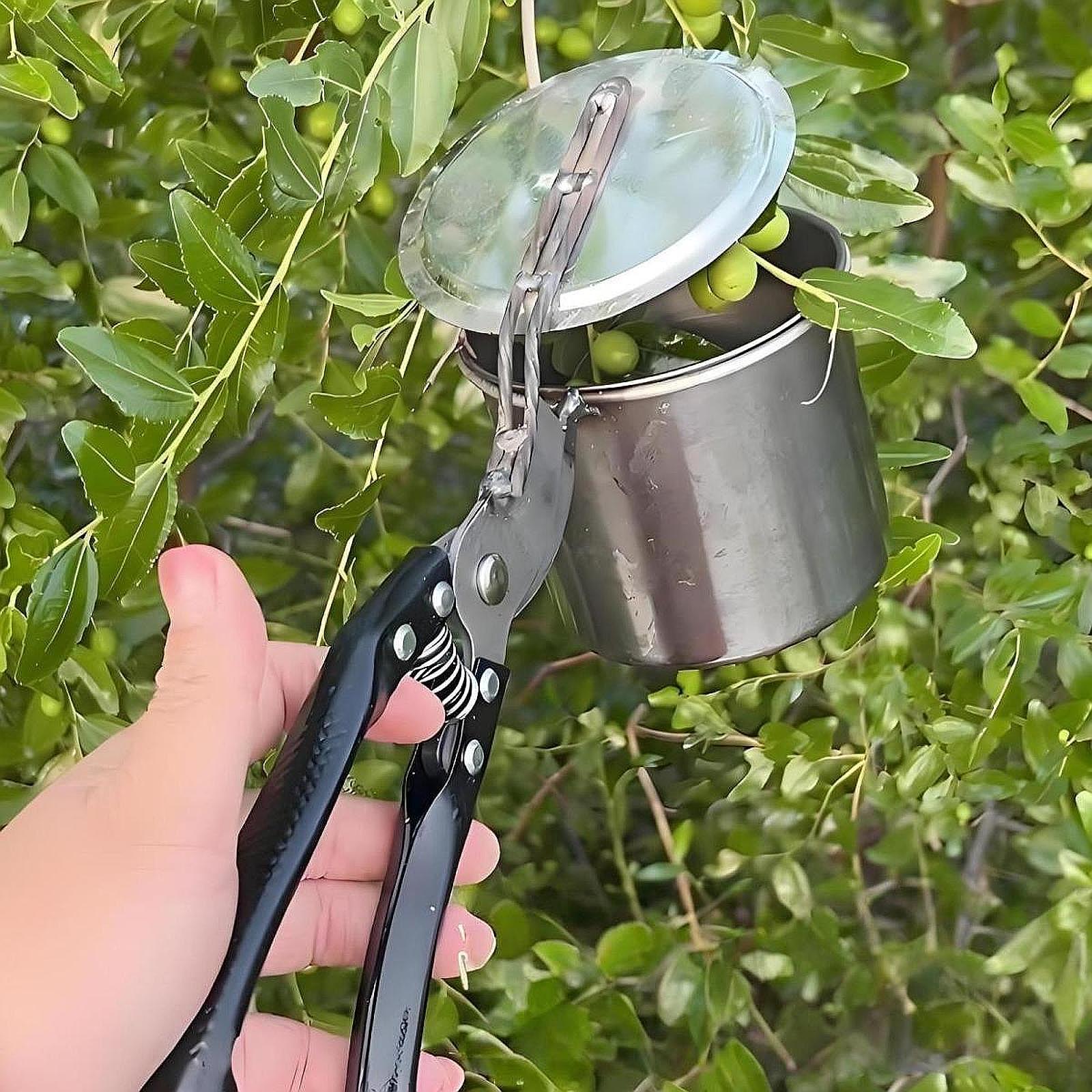 منتقي الفاكهة، أداة البستنة ال - مراجعة Gardening Tools Vegetables وسعره