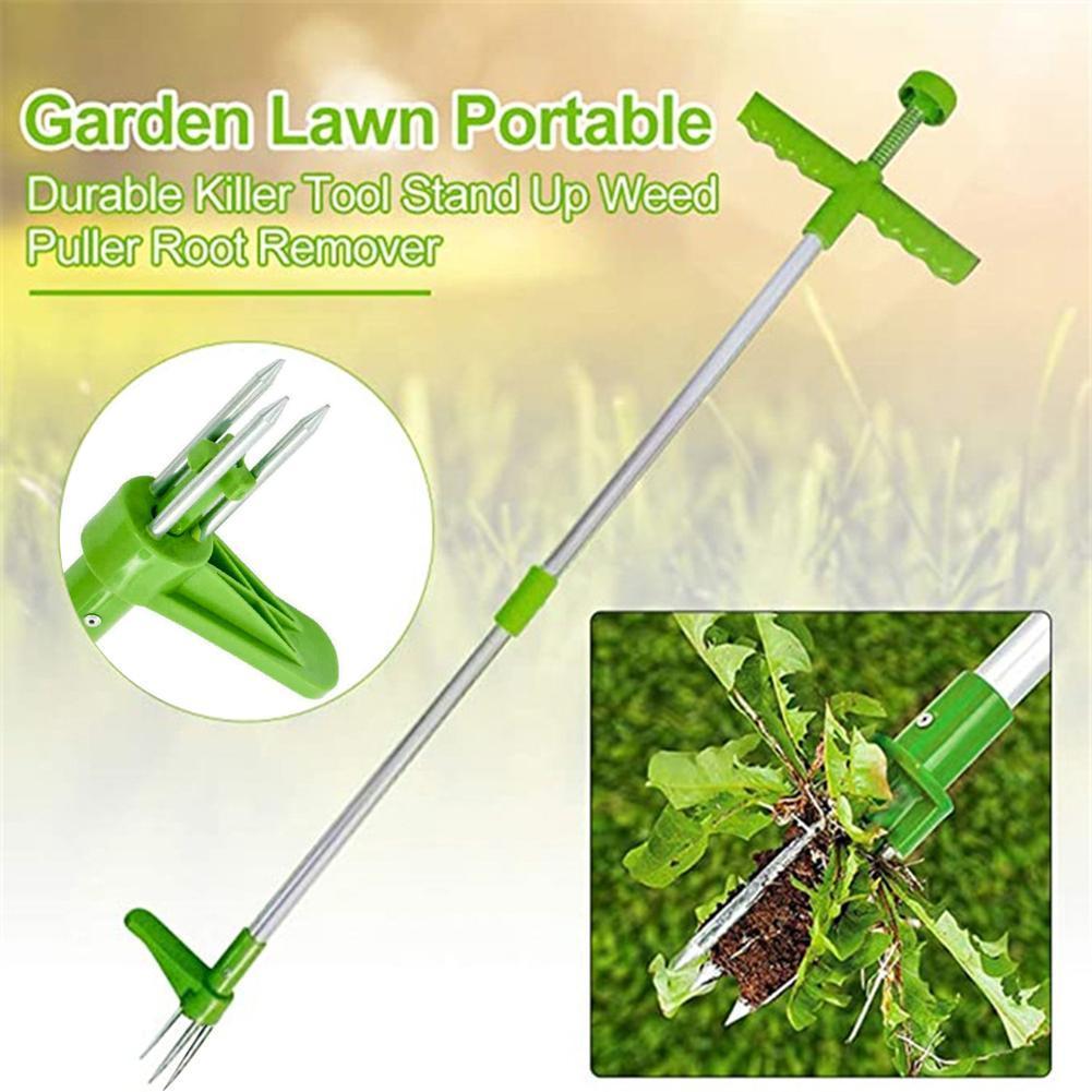 أداة إزالة الأعشاب الضارة بمقب - مراجعة Gardening Tools To Remove Grass وسعره