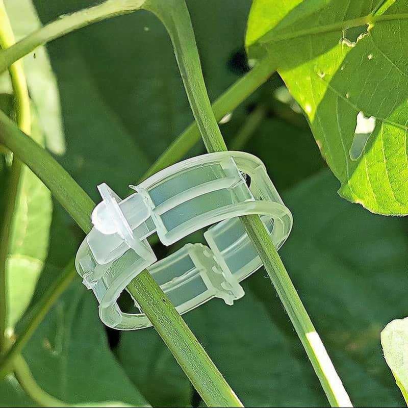 300/50 قطعة مشابك دعم النباتات - مراجعة Gardening Tools For Vines وسعره