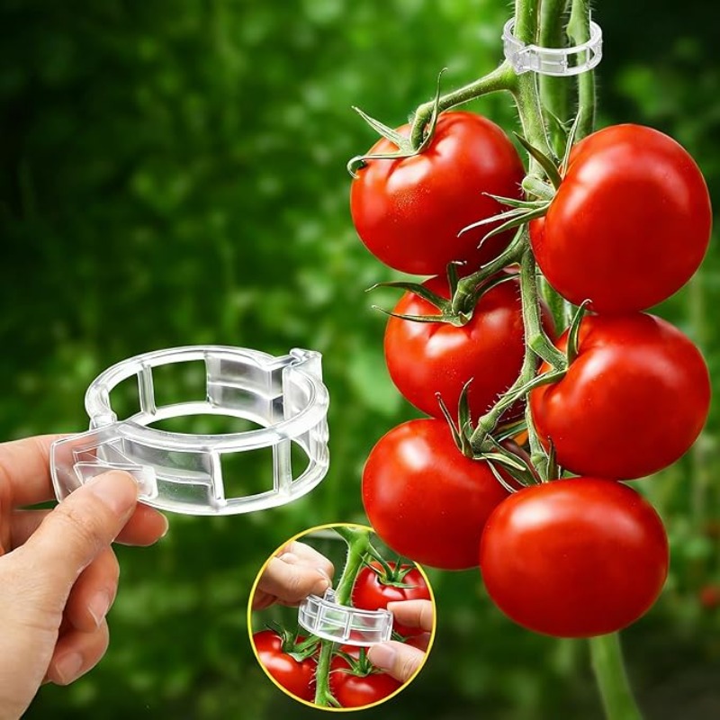 300/50 قطعة مشابك دعم النباتات - مراجعة Gardening Tools For Vines وسعره