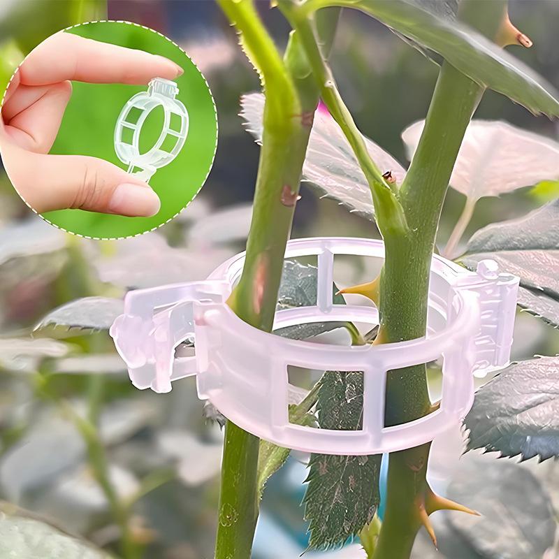 100 قطعة من دعامات نباتات التس - مراجعة Gardening Tools For Vines وسعره