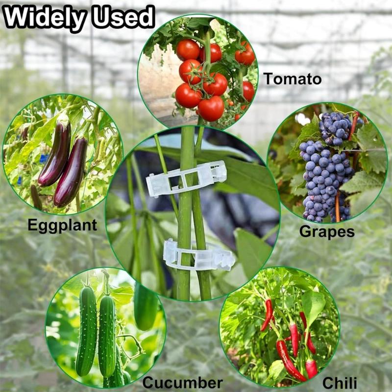 100 قطعة من دعامات نباتات التس - مراجعة Gardening Tools For Vines وسعره